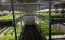 植物工場 ICT AI iot 次世代スマート農業システム